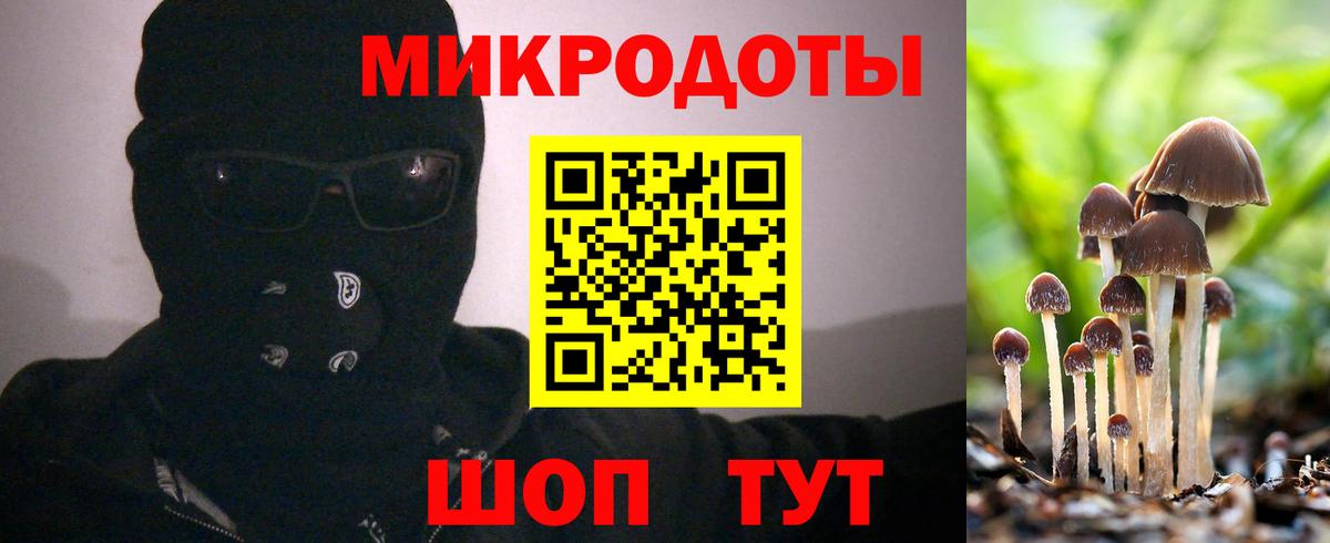 Псилоцибиновые грибы Cubensis Великие Луки