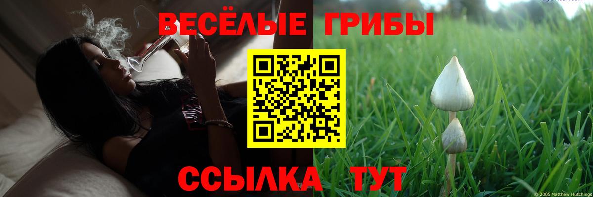 Галлюциногенные грибы MAGIC MUSHROOMS  Вход с VPN  Великие Луки  Галлюциногенные грибы прущие грибы 